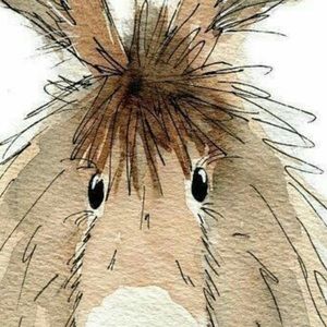 Meet your Posher, Sandra